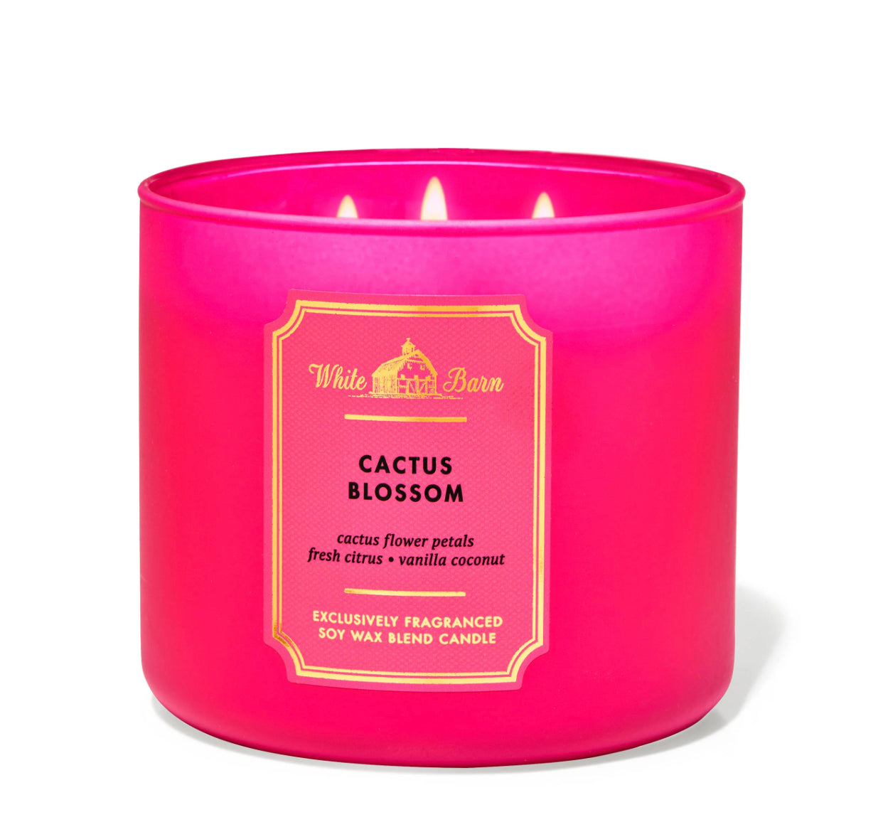 Cactus Blossom Candle