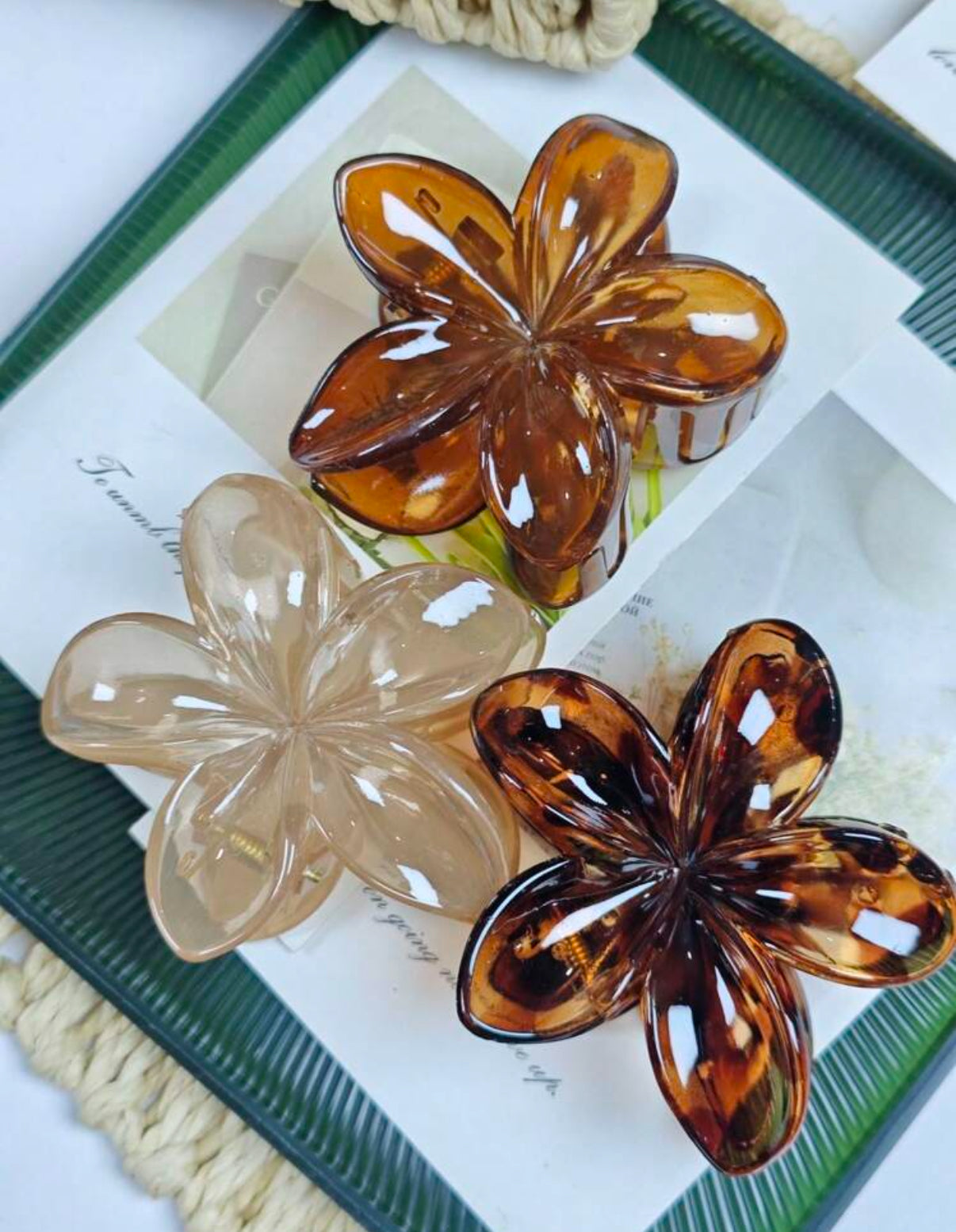 3pc Neutral Flower Hair Clips