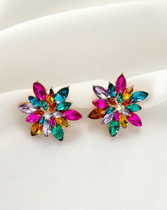 Colorful Rhinestone Stud Earrings